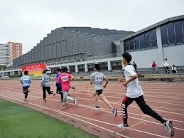 麻将与理性人生（从麻将看理性的人生）